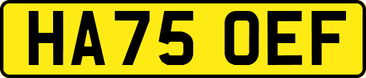 HA75OEF