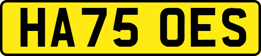 HA75OES