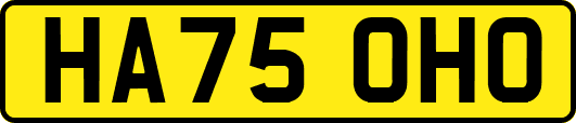 HA75OHO