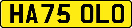 HA75OLO