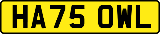 HA75OWL