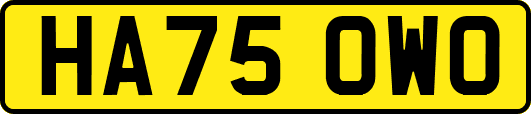 HA75OWO