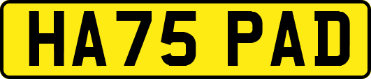 HA75PAD