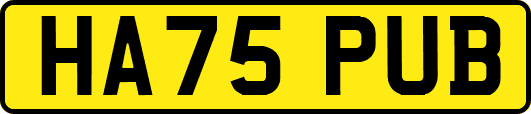 HA75PUB