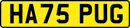HA75PUG
