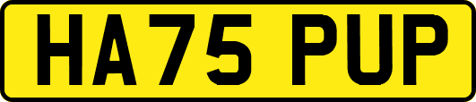 HA75PUP