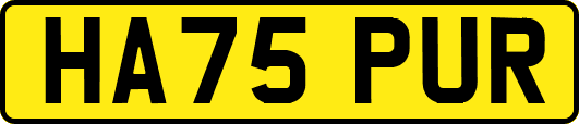 HA75PUR