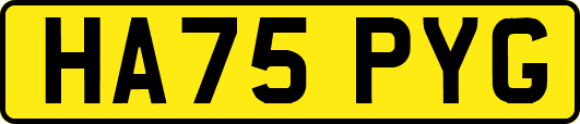 HA75PYG