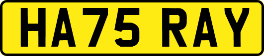 HA75RAY