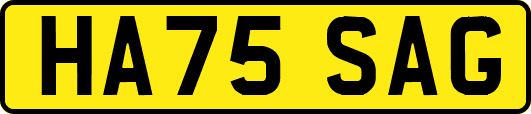 HA75SAG