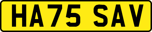 HA75SAV
