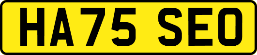 HA75SEO