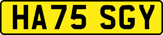 HA75SGY