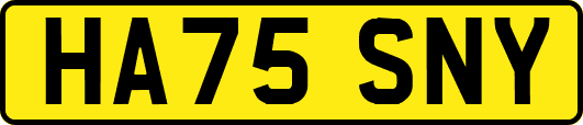 HA75SNY