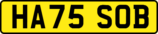 HA75SOB