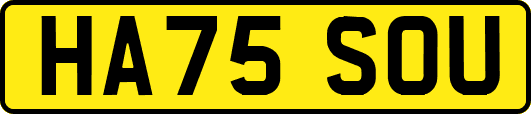 HA75SOU