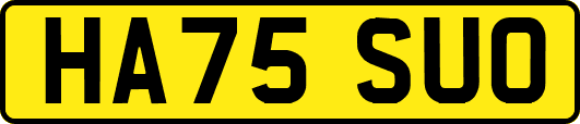 HA75SUO