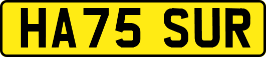 HA75SUR