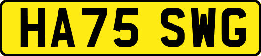 HA75SWG