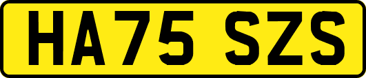 HA75SZS