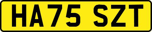 HA75SZT