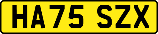 HA75SZX