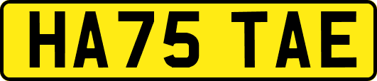 HA75TAE