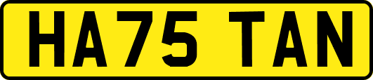 HA75TAN
