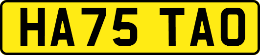 HA75TAO
