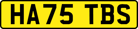 HA75TBS