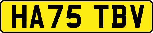 HA75TBV