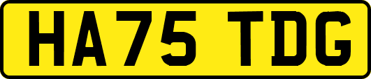 HA75TDG