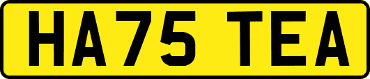 HA75TEA