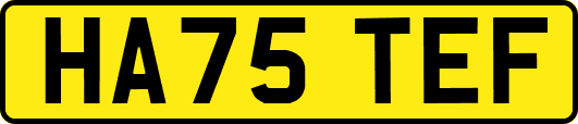 HA75TEF
