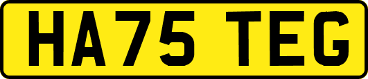 HA75TEG