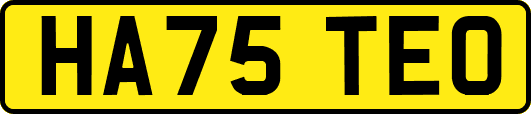 HA75TEO