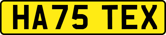 HA75TEX