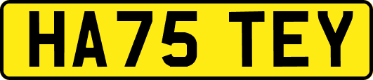 HA75TEY