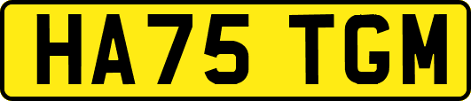 HA75TGM