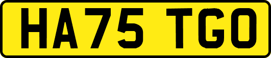 HA75TGO