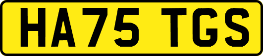 HA75TGS