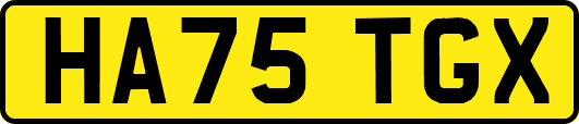 HA75TGX