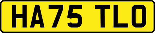 HA75TLO