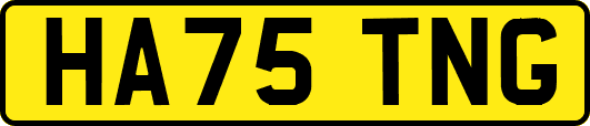 HA75TNG