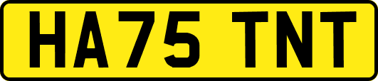 HA75TNT