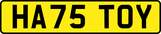 HA75TOY