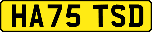 HA75TSD