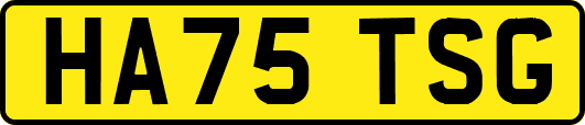 HA75TSG