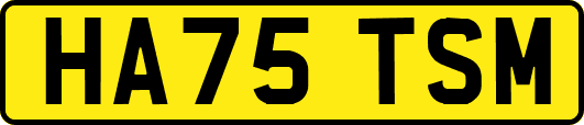 HA75TSM