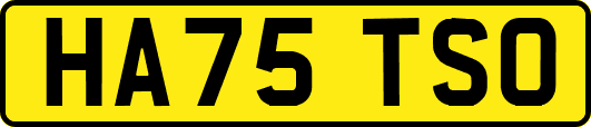 HA75TSO